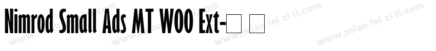 Nimrod Small Ads MT W00 Ext字体转换